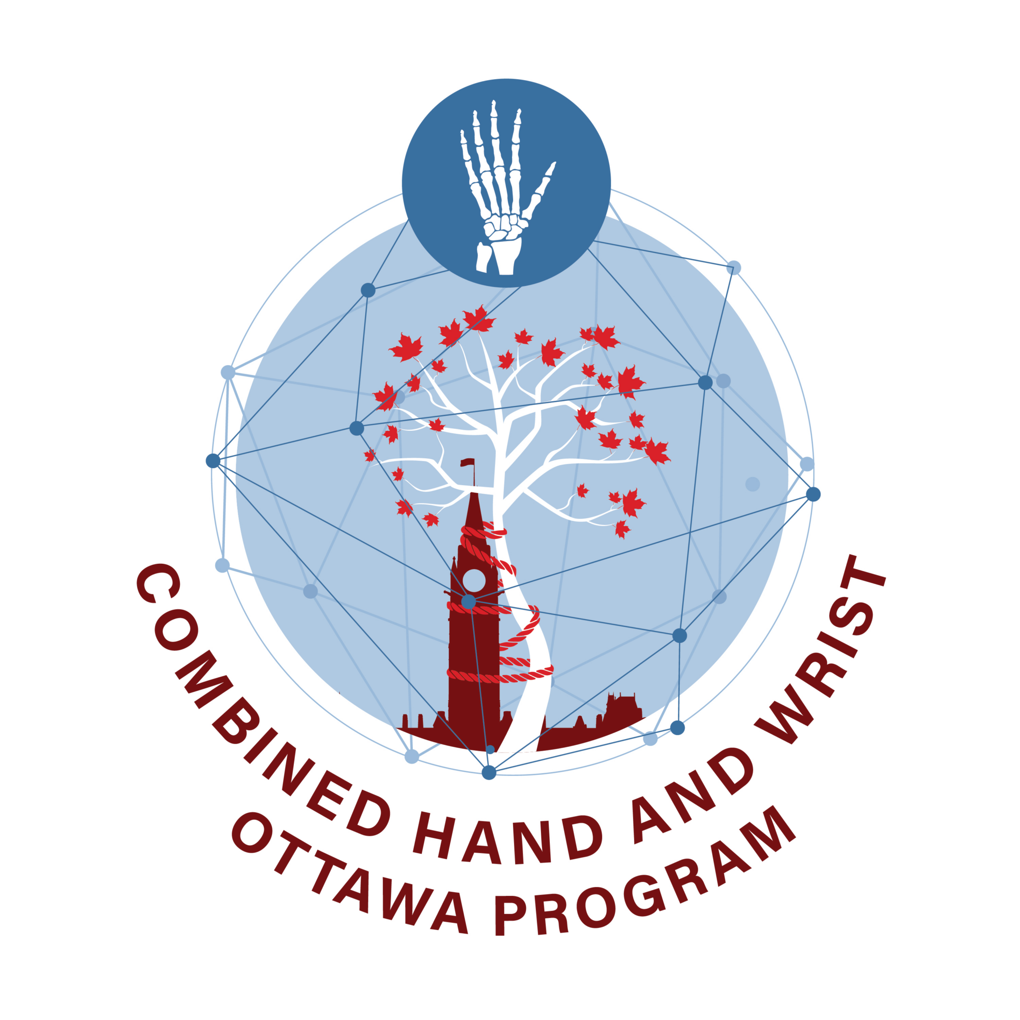 Hand and Wrist Orthopaedics and Plastic Surgery University of